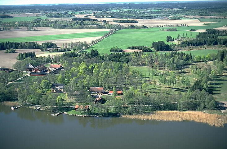 Illustration till Fornsigtuna: en kungsgårds historia